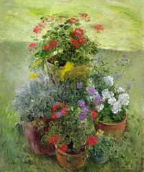 Tachos com sombra (óleo sobre tela)