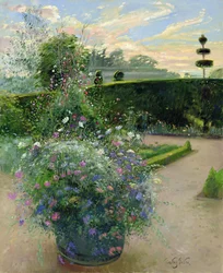 Margaridas Brancas Contra a Trellis Sweetpea (óleo sobre tela)