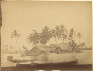 [Baía de Limón, Istmo de Darién (Panamá)].