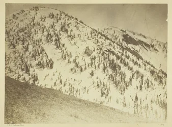 Snow Peaks, Distrito Mineiro de Bull Run, Nevada