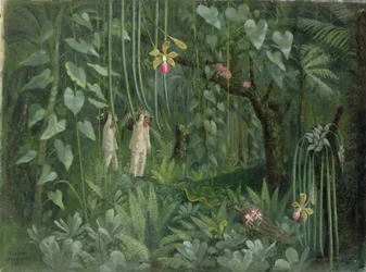 Caçadores de Orquídeas do Brasil