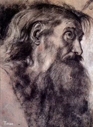 Cabeça do velho Desenho de Tiziano Vecellio chamado Titian (1485-1576) Século XVI Paris, Museu do Louvre