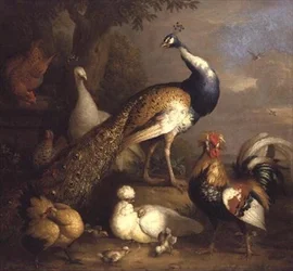 Pavão, pavoa e aves de capoeira numa paisagem