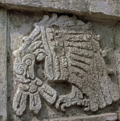 Alívio de uma águia, templo de Quetzalcoatl