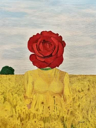 Cabeça de rosa, campo amarelo