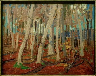 Madeiras do bordo, troncos desencapados, 1915