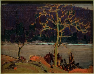 Purple Hill
