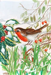 Robin e Snowdrops