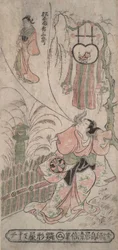 A c e r Segawa Kiku