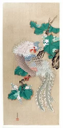 Japão: representação de uma fénix. Pintura em seda de Tosa Mitsuoki (1617-1691)