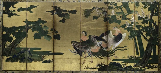 Fenícios e Paulownia, final dos anos 1500.