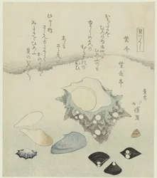 Concha roxa, mariscos de água doce e uma concha de turbante Murasakigai shijimi sazae (título no objeto) Uma série de conchas (título da série) Kaitsukushi (título da série no objeto)