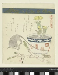 Rato e tigela com Adónis
Uma série de trinta e seis aves (título da série)
Sanjûrokutoritsukushi (título da série sobre o objecto)