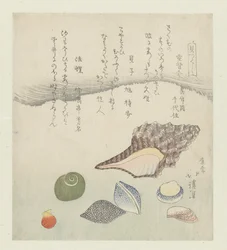 Concha reflectora, concha de marfim e concha de tritão
Utsusegai baishi hora (título sobre o objecto)
Uma série de conchas (título da série)
Kaitsukushi (título da série sobre o objecto)