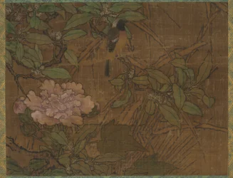 Birds and Flowers (Pássaros e Flores)