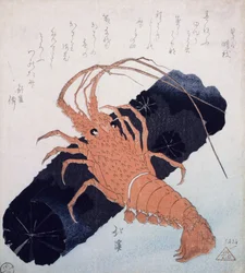 Lagostim com um bloco de carvão, c.1830 (impressão em xilogravura a cores)