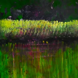 Marsh- Nocturne, 2017 (óleo sobre painel)