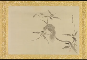 Álbum de cópias de pinturas chinesas
