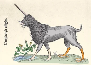 Representação de uma igreja, monstro das Ilhas Molucas Gravura de Ulisse Aldrovandi (1522-1605), "Monstrorum Historiae", Bolonha 1642