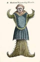 O monge marinho, peixe imaginário e monstro marinho por Ulisse Aldrovandi (1522-1605), "Monstrorum Historiae", Bolonha 1642