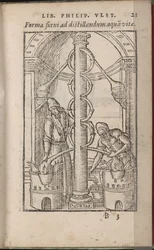Do aparelho alquímico: Os segredos da natureza, 1556-1557