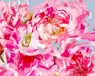 Expressão Floral Rosa