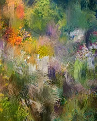 Abstrato de um jardim vibrante