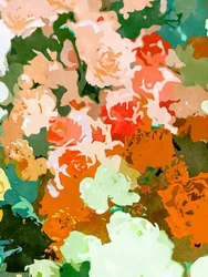 Flores vibrantes no jardim