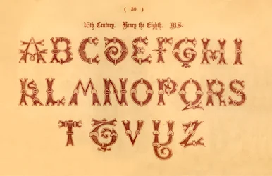 Século XVI. Henrique Oitavo. MS., 1862