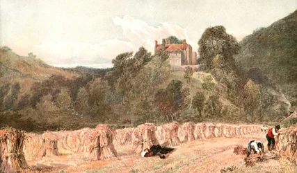 Um campo de milho, c1840s, c1900.