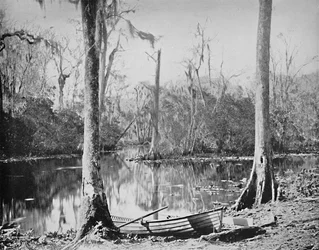 Um alimentador do rio St. Johns, Flórida, c1897.