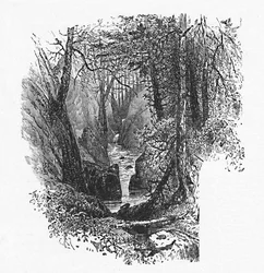Um alimentador para o lago, 1883
