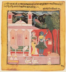 Uma dama a colher flores com pavões, Gunakali Ragini de Malkos, da Chawand Ragamala, 1605