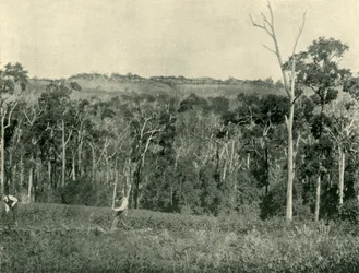 Uma fazenda de montanha vitoriana, 1901.