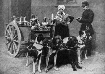 Uma leiteira com um inspetor do governo, Bélgica, 1922