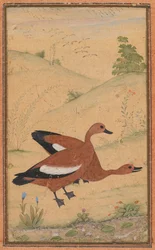 Um par de patos Brahminy, c. 1595, as fronteiras adicionaram provavelmente 1800s.