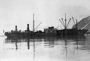 Um baleeiro, Magdalene Bay, Spitzbergen, Noruega, 1929