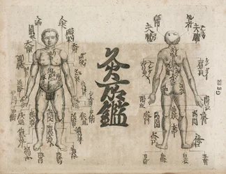 Acupunctura carte du corps humain indiquant les points de moxibustion (Diagrama de Moxabustão mostrando onde a singeleza deve ser evitada