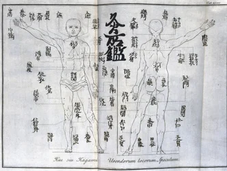 Acupunctura: carta do corpo humano indicando os pontos de moxibustão, Japão (carta relativa à moxa, cerca de 1690)