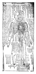Tabela de acupuntura para a frente do corpo, japonesa, século XIX