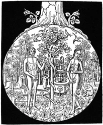 Adão e Eva, 1505 1964