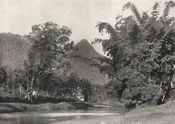 Adamspik da área de Maskeliya, 1926