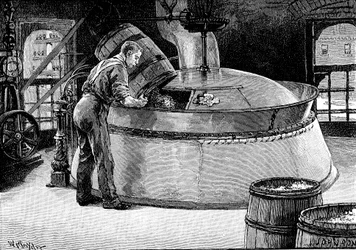 Adicionando lúpulo à fervura de cerveja em uma cervejaria americana, 1885