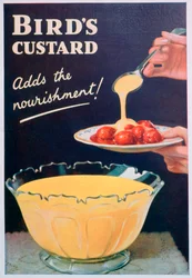 Anúncio para Creme de Aves, 1935