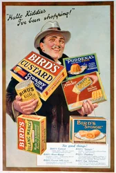 Anúncio para Alimentos para pássaros, 1920