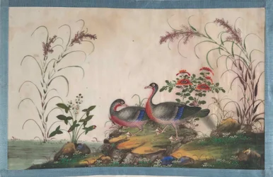Álbum com Doze Pinturas de Pássaros, séc.