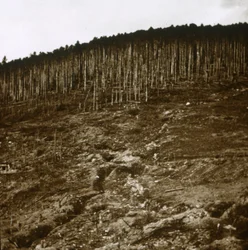 Alsácia, c1914-c1918
