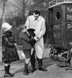 Ambulância da Liga Nacional de Defesa Canina, Londres, 1926-1927