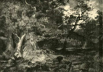 Uma antiga floresta alemã, 1890.