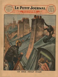 Um chimpanzé escapado, 1930.